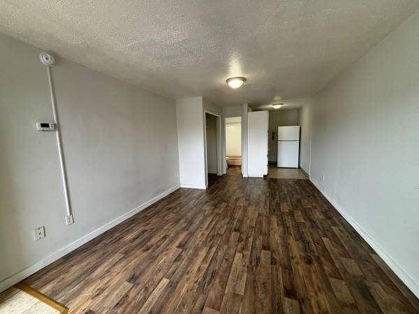 Studio at 1002 Cushman with new dark flooring
