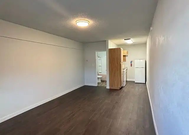 Studio at 1002 Cushman looking toward the kitchen