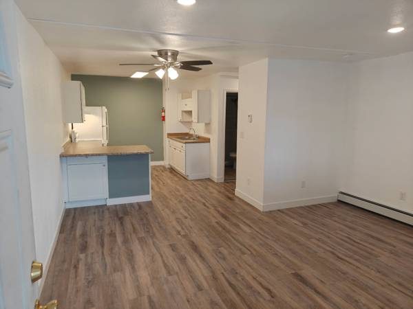 Open kitchen and living area at 1010 Cushman