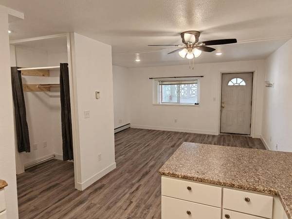 Remodeled studio at 1010 Cushman St