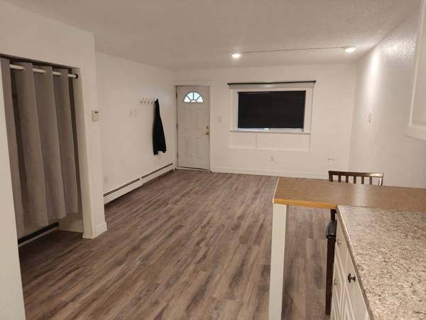 Studio at 1010 Cushman with new flooring and entry door